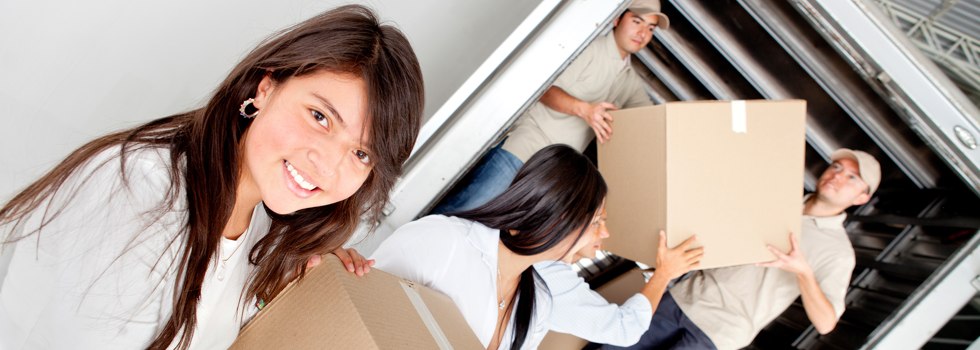 Professional Removalists Carstairs